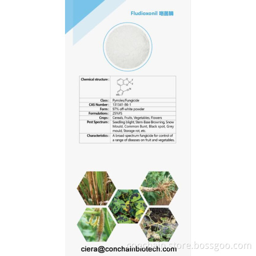 97% Fludioxonil technical fungicide